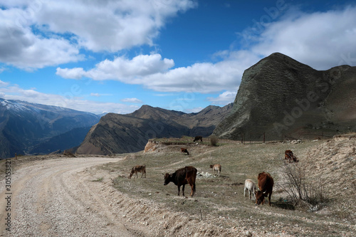 Wild Caucasus mountains landscape near Arakani village  Dagestan  Russia