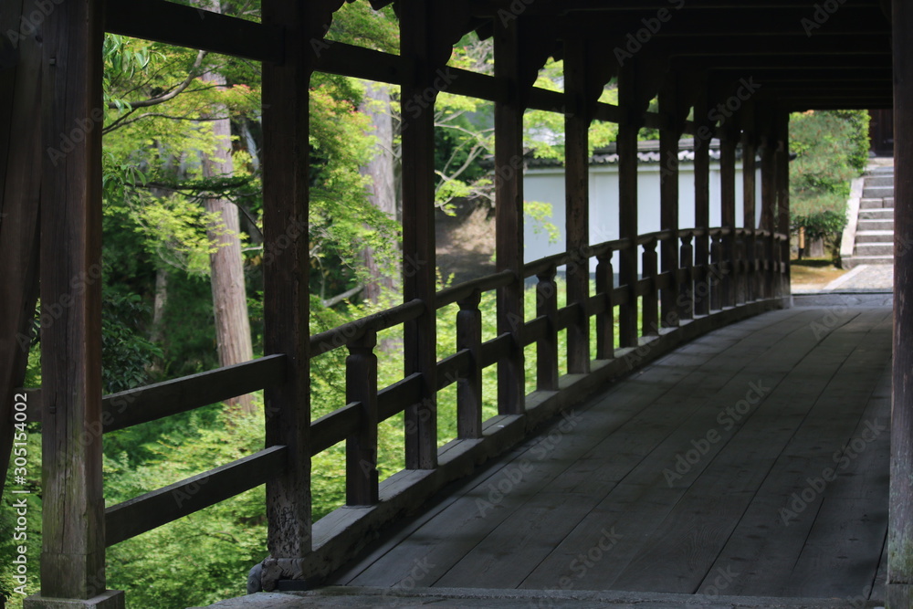 木の橋 木の橋