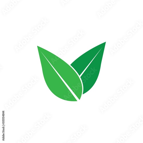 green leaft ecology nature element