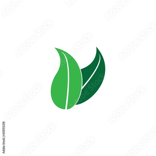 green leaft ecology nature element