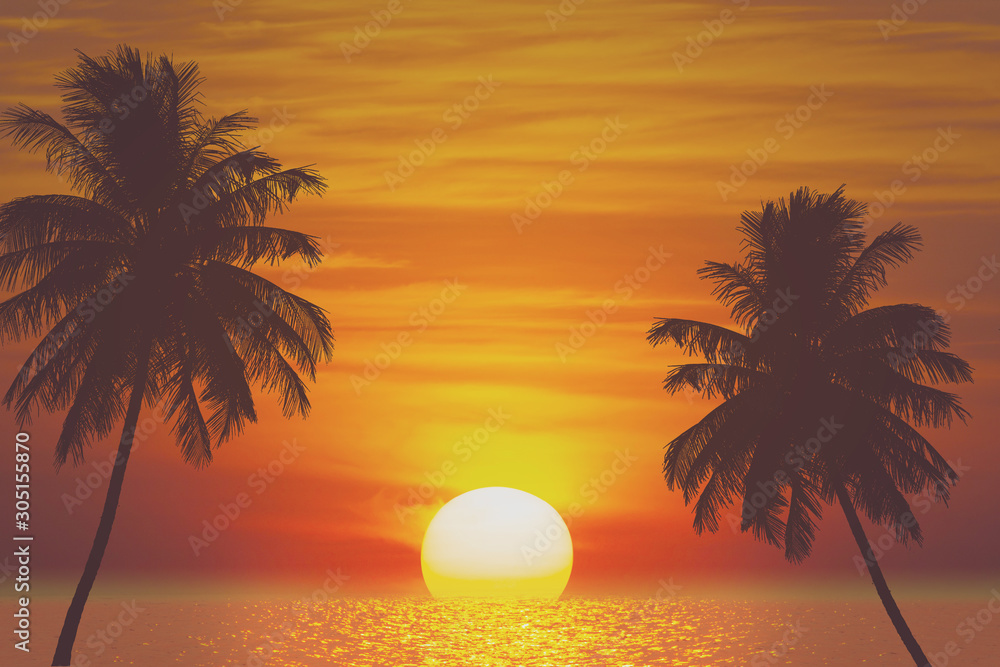 tropical palm tree and sea sunset summer background