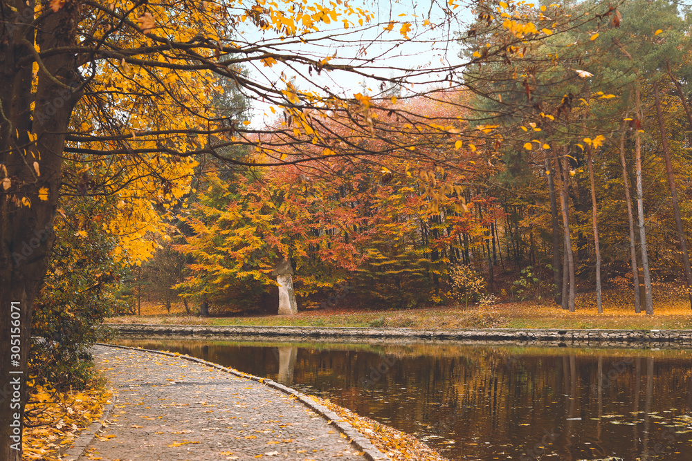 View of beautiful pond in autumn park