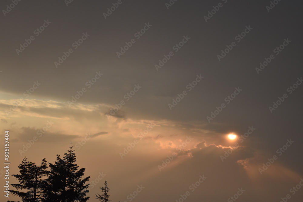 Obraz premium sun and rays of light behind gray clouds with the summits of cedars trees