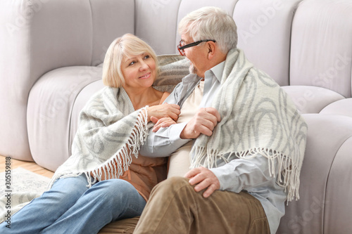 Happy mature couple resting together at home © Pixel-Shot