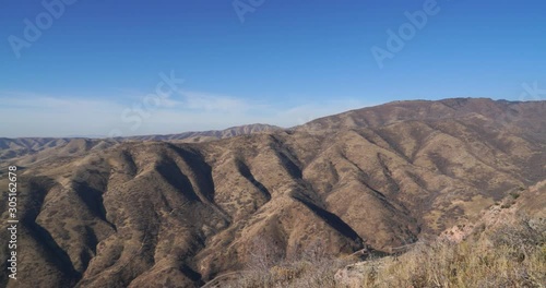 Local vegetation and hills behind Salt Lake City