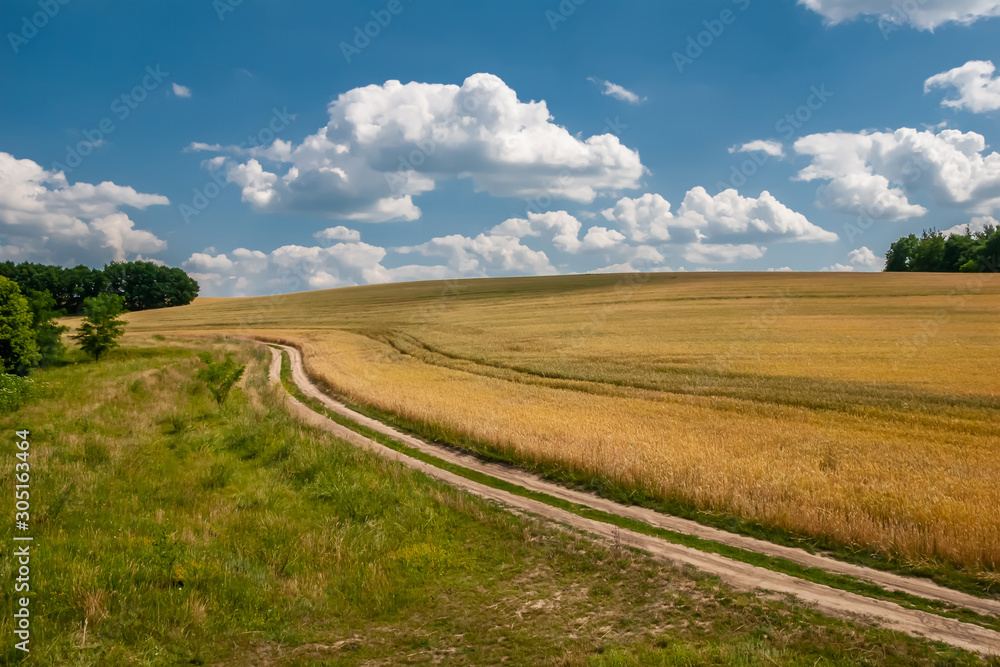 The road goes through a wheat field