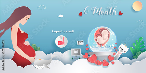 regnancy 6-month Stages of development. Process of human fetal growth in pregnancy and mother and baby infographic Happy Mother's Day beautiful woman and child.Vector illustration