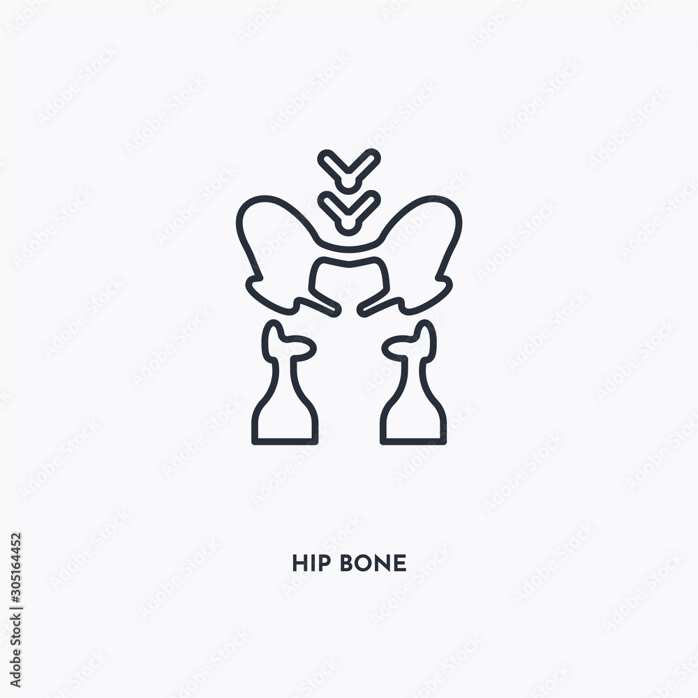 hip bone outline icon. Simple linear element illustration. Isolated line hip bone icon on white background. Thin stroke sign can be used for web, mobile and UI. hip bone outline icon. Simple linear element illustration. Isolated line hip bone icon on white background. Thin stroke sign can be used for web, mobile and UI.