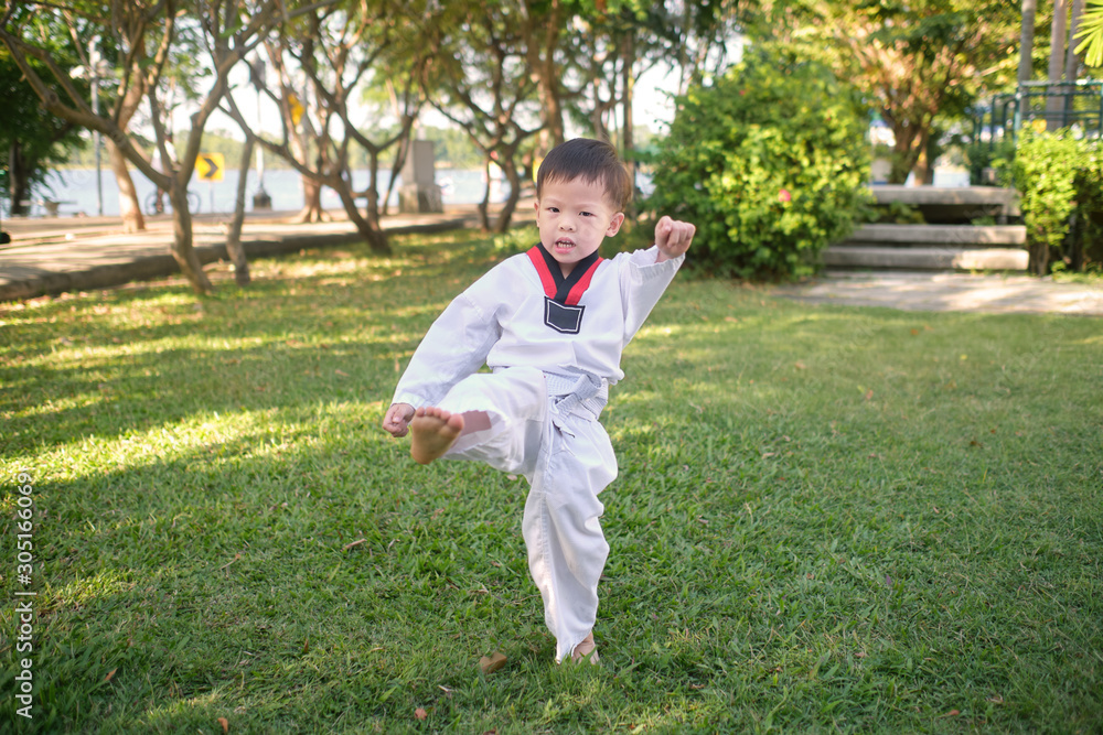 Asian 3 - 4 years old toddler boy child posing in fighting action on nature at the park, Taekwondo class for toddler, Fun & Fitness Martial Arts for Kids concept, Soft & Selective focus Asian 3 - 4 years old toddler boy child posing in fighting action on nature at the park, Taekwondo class for toddler, Fun & Fitness Martial Arts for Kids concept, Soft & Selective focus