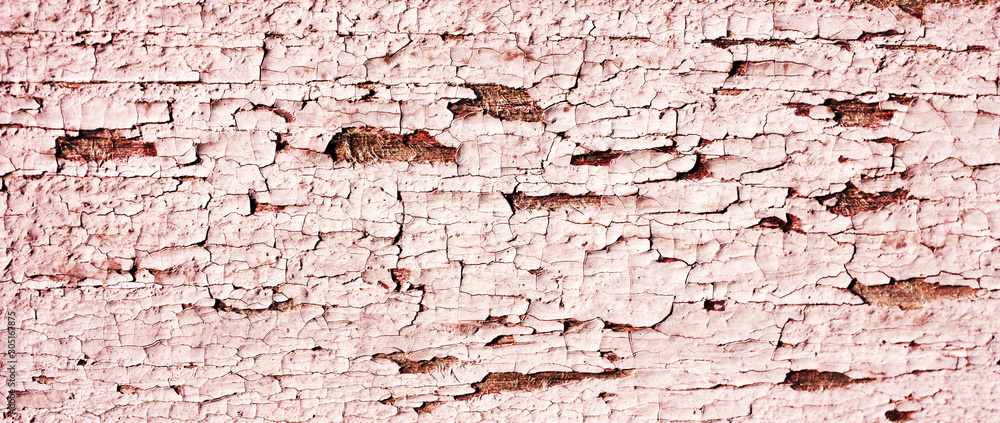 Close-up wood grunge board with pattern of peeling light pink paint. Old cracked timber. Background of painted wooden wall.