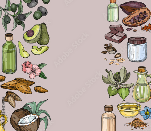 Vector background with food and cosmetic care ingredients. Organic hand drawn oils.