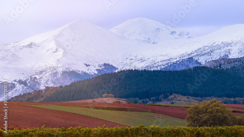 Beautiful landscape with snowy mountains and agricultural land