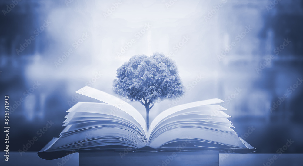 The Concept Of Education By Planting A Tree Of Knowledge In The Opening Of  An Old Book In The Library And The Magical Magic Of Light That Flies To The  Destination Of