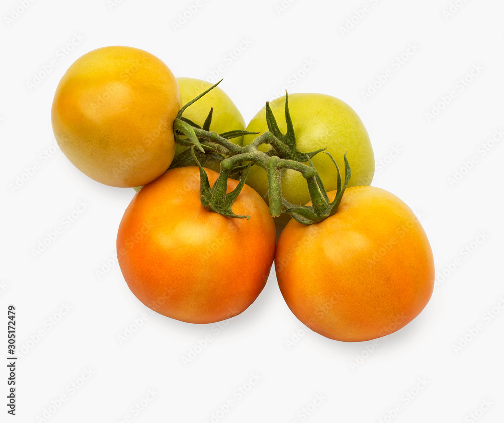 red tomato twig isolated on the white background red tomato twig isolated on the white background