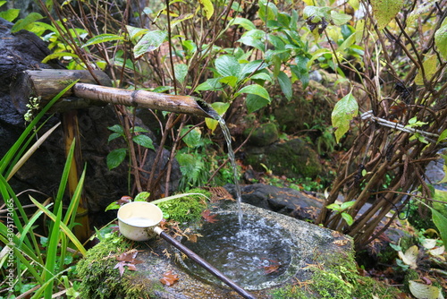 Gunma,Japan-November 23,2019: Beautiuful autumn leaves fell on the rock and the earth in the rain in Japan photo