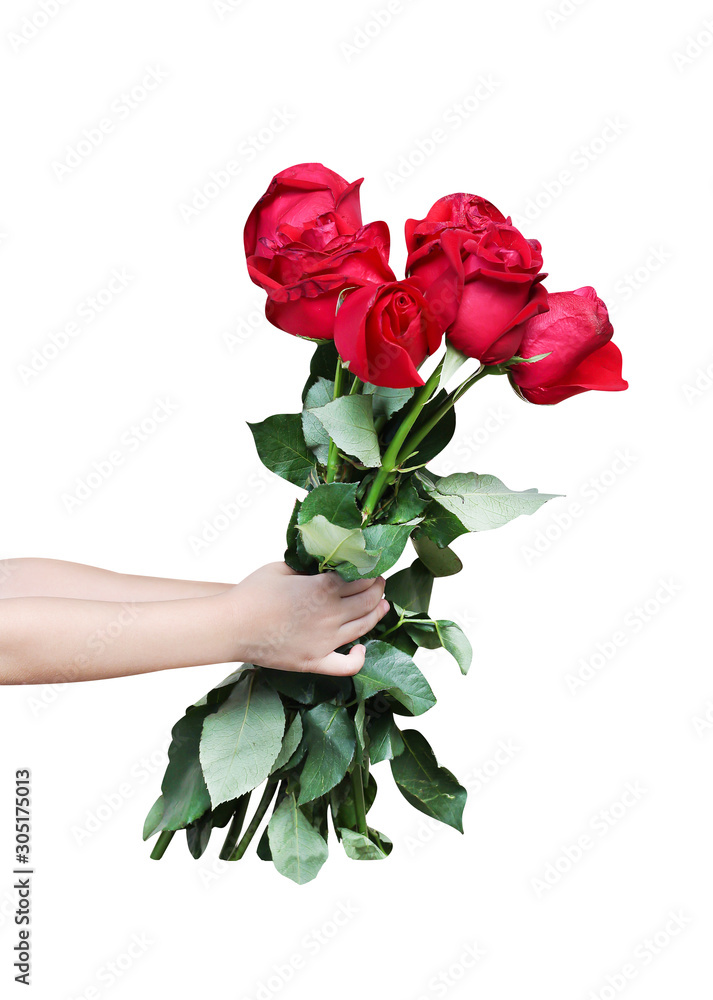 Asian little child girl hand giving colorful bright red roses flower with  green stalk and leaf patterns isolated on white background , clipping path  Stock Photo | Adobe Stock