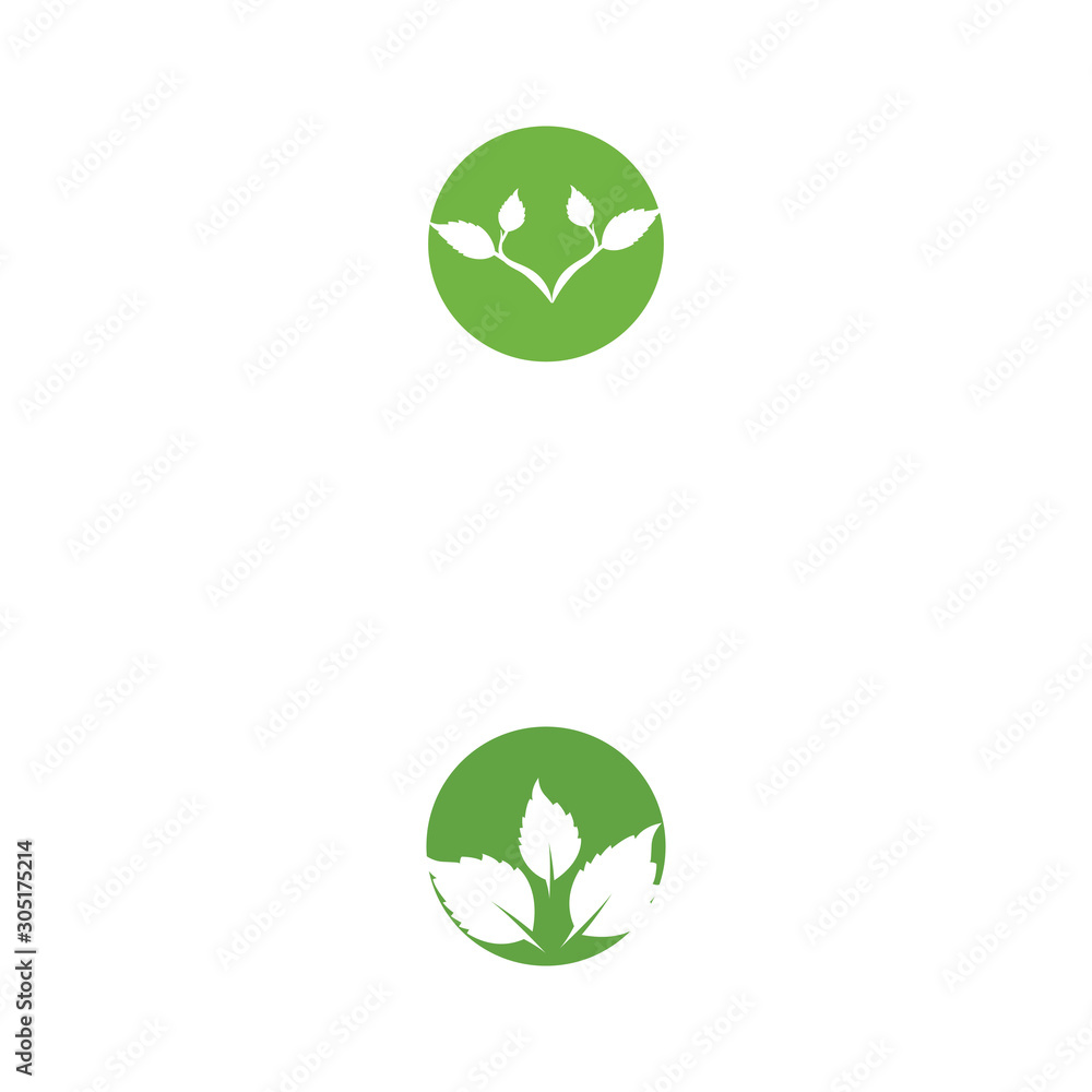 Leaf Logo Template vector symbol Leaf Logo Template vector symbol