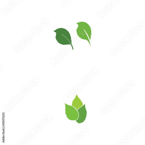 Leaf Logo Template vector symbol