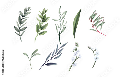 Leaves, can be used as greeting card, invitation card for wedding, birthday a...