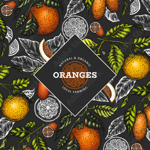 Citrus fruits design template. Hand drawn vector color fruit illustration on dark background. Vintage citrus banner.