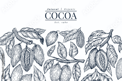 Cocoa design template. Chocolate cocoa beans background. Vector hand drawn illustration. Vintage style illustration.