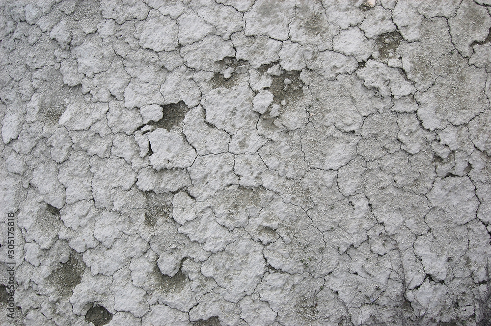 Ukrainian soil.Grungy arid land texture. Grey cracked floor surface. Ecological problem. Near Kiev,Ukraine Ukrainian soil.Grungy arid land texture. Grey cracked floor surface. Ecological problem. Near Kiev,Ukraine