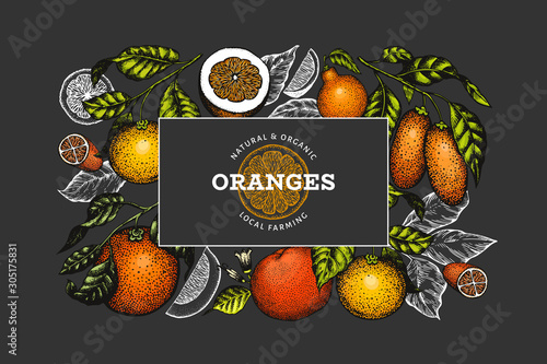 Citrus fruits design template. Hand drawn vector color fruit illustration on dark background. Vintage citrus banner. photo