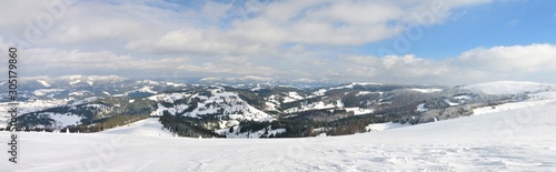 Panoramic photo of a mountain forest in winter