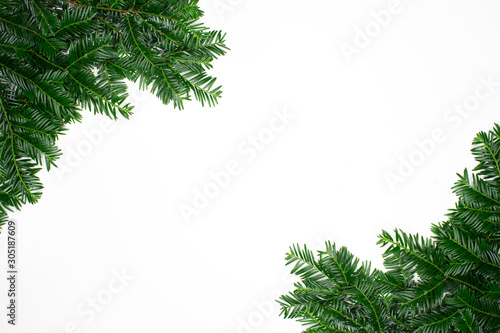 Fir green as frame for copy space christmas advertisements