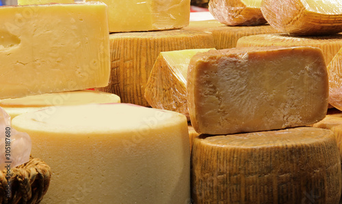 Pecorino Cheese in Italian Language  means cheese of sheep photo