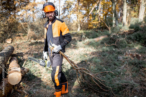 Portrait of a professional lumberjack in protective workwear carrying tree branches while logging in the pine forest