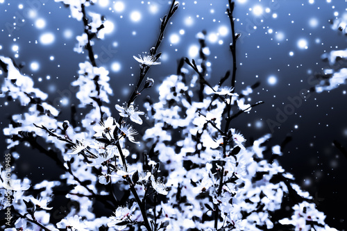 Photography Christmas, New Years blue floral background, holiday card design, flower tree an