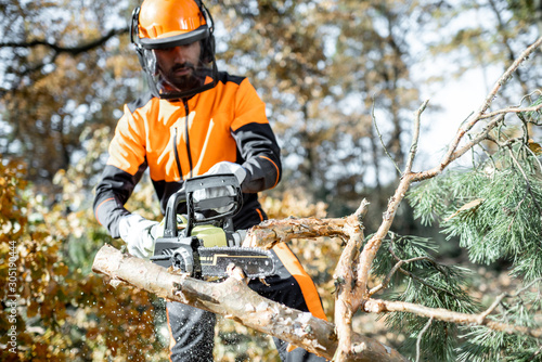Lumberman in protective workwear sawing with a chainsaw branches from a tree trunk in the forest. Concept of a professional logging photo