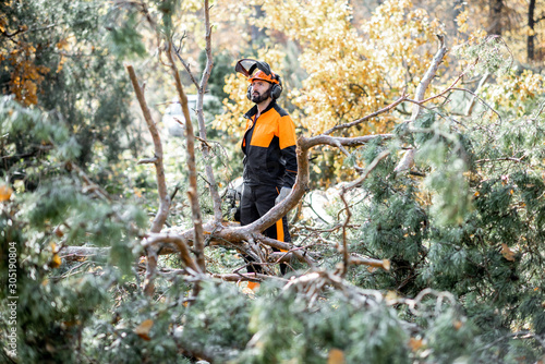 Fototapeta Naklejka Na Ścianę i Meble -  Lumberman in protective workwear sawing branches with a chainsaw from a felled tree in the pine forest. Concept of a professional logging