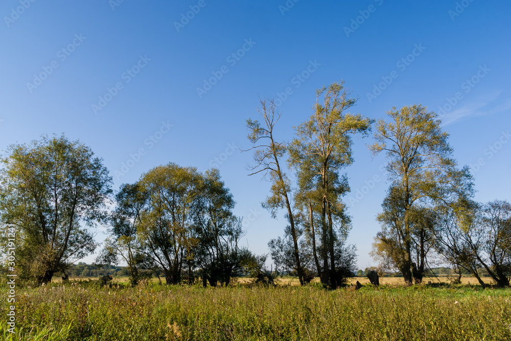 Narwiański Park Narodowy, Rzeka Narew w Surażu, Podlasie, Polska Narwiański Park Narodowy, Rzeka Narew w Surażu, Podlasie, Polska