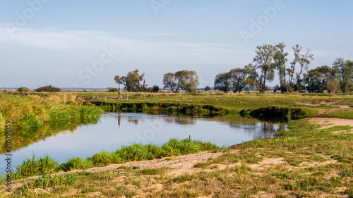 Narwia  ski Park Narodowy  Rzeka Narew w Sura  u  Podlasie  Polska