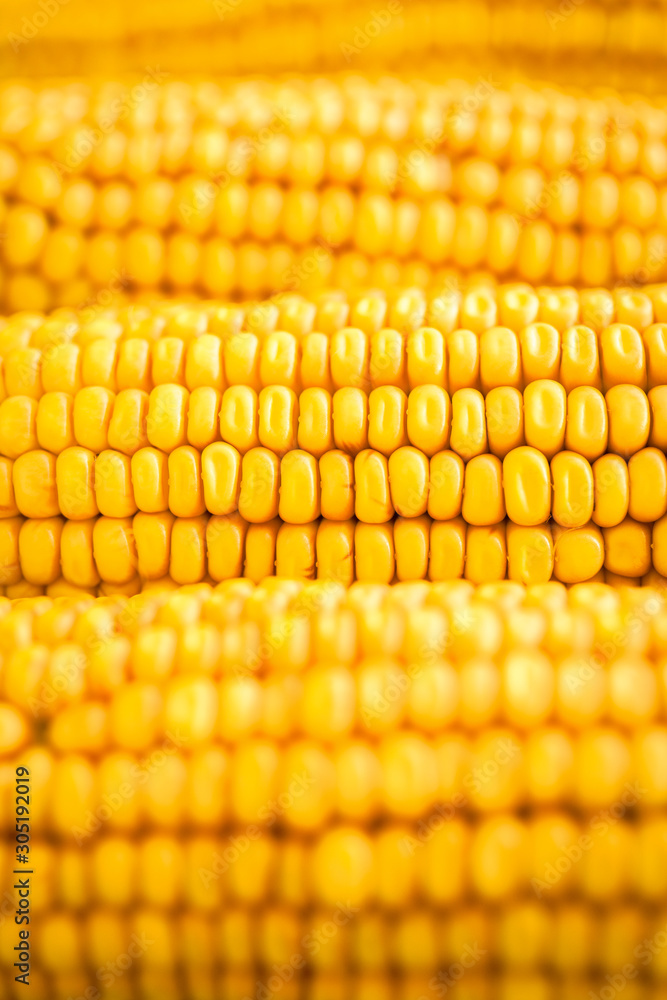 Corn on the cobs kernels close-up. Yellow corn background Corn on the cobs kernels close-up. Yellow corn background