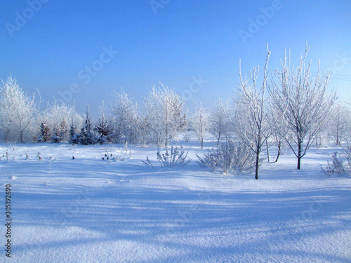 Winter wonderland landscape © Ewa