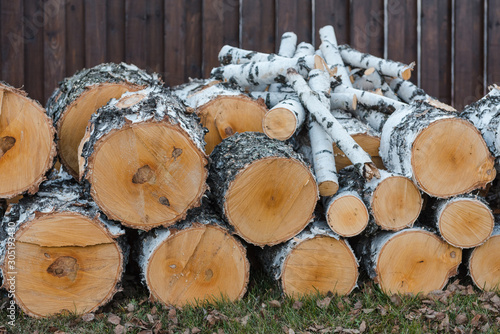 logging. chopping wood. a bunch of birch branches. birch firewood for the winter.