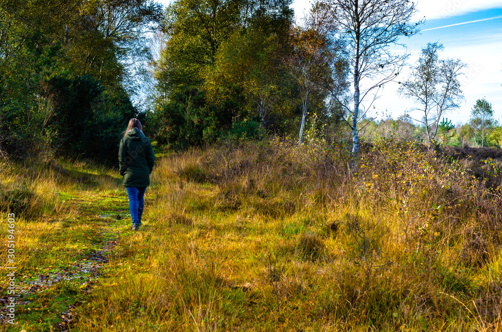 Young woman walking in autumn at Iping and Stedham Commons in West Sussex, England Young woman walking in autumn at Iping and Stedham Commons in West Sussex, England