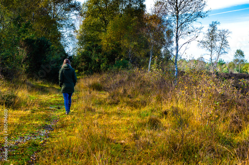 Young woman walking in autumn at Iping and  Stedham Commons in West Sussex, England © Jelana M
