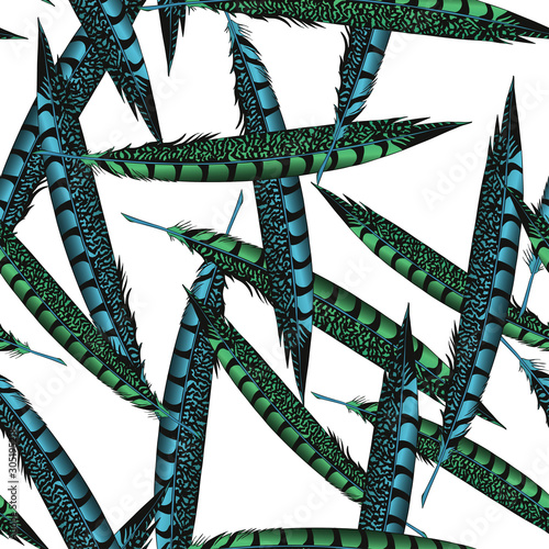 Pheasant feathers on a white background