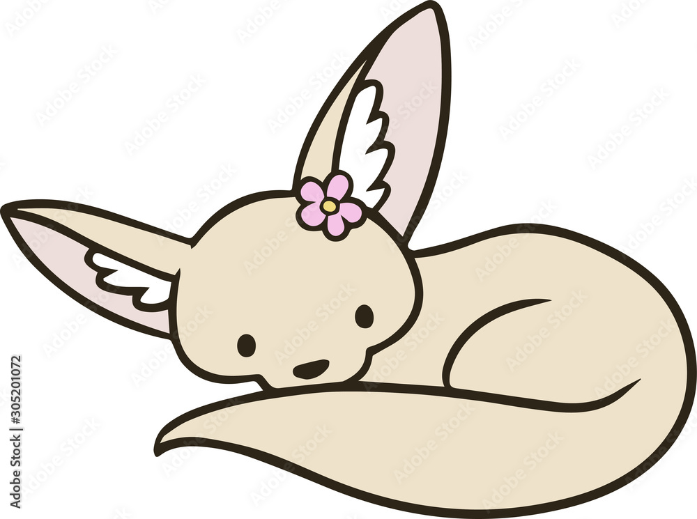 Obraz premium 雌のフェネックのイラスト