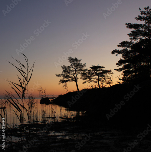 Silhouettes of trees and plants growing at the shore of Lake Vanern.