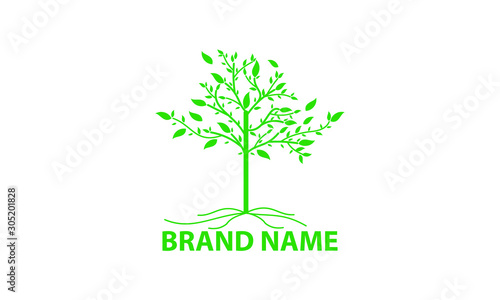 tree-shaped logo template with a combination of green