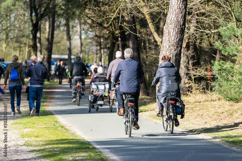 Bicyclists in national park Loonse en Drunense duinen in Waalwijk, Brabant, Netherlands.