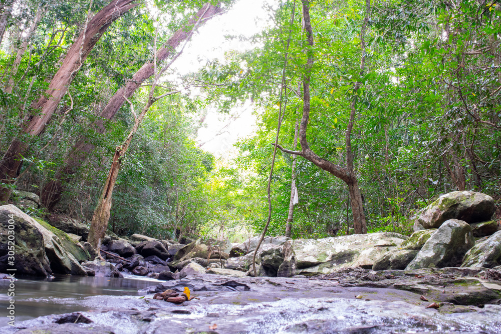 Fototapeta premium little stone water fall on green tree background