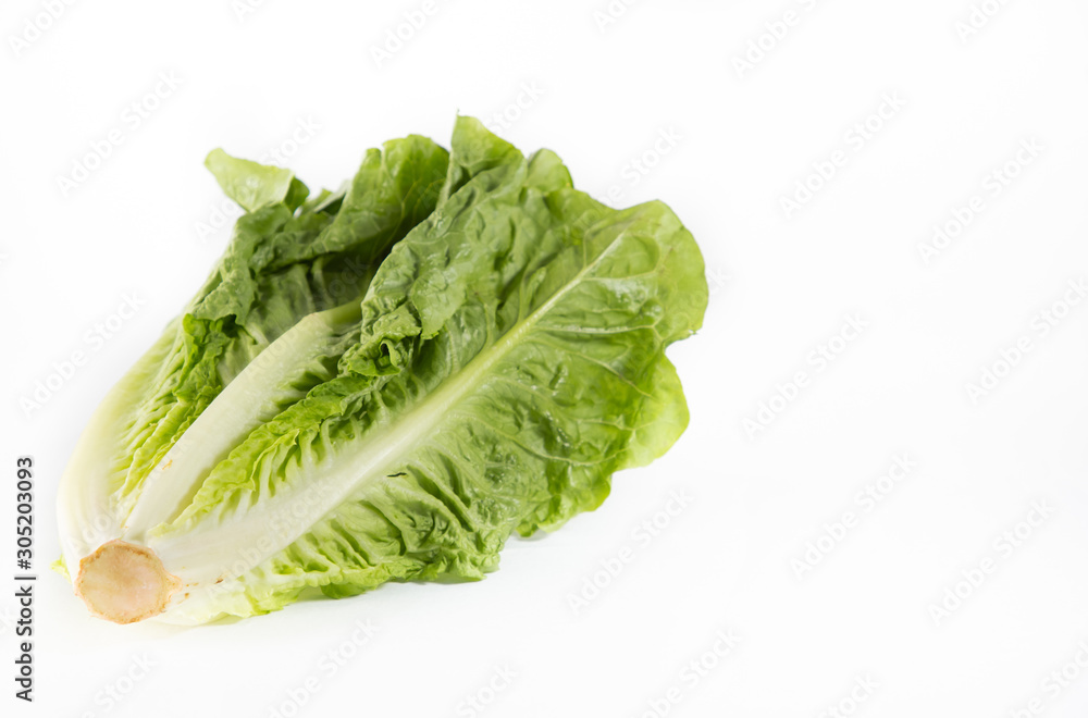 Salad vegetables for a healthy diet in the white background Salad vegetables for a healthy diet in the white background