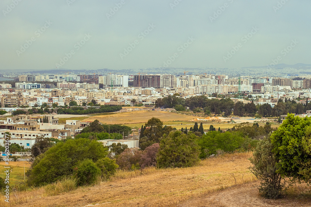 Panoramic view on the capital of Tunisia - Tunis city from Byrsa hill, white buildings and green trees