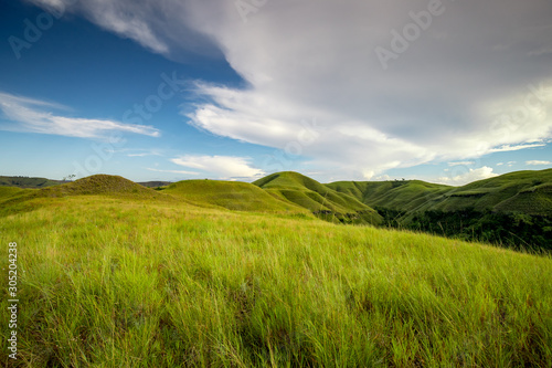 Green Grass Climbs Sumba Island Indonesia Photo. Scenery Nature Landscape. Amazing View on Hills, Cloudy Sky. Panoramic Photography on Asian Hilly Ecoregion in Good Weather Summer Day © Goinyk